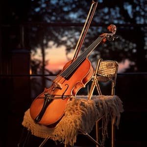 Soothing Balance: Relaxation with Orchestra - Dinner Music Classics