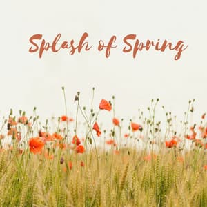 Splash of Spring - Rain Sound Plus
