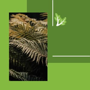 Calming Moments - Vintage Cafe Vintage