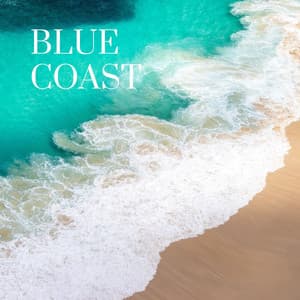 Blue Coast - Selective Sounds PTA