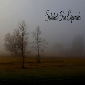 Soledad Tan Esperada - Colectivo de Música de Concentración