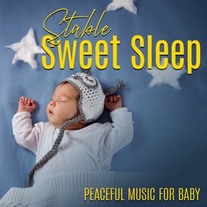 Stable Sweet Sleep: Peaceful Music for Baby Night Repose - Baby Sleep Zone