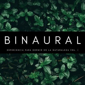 Binaural: Experiencia Para Dormir En La Naturaleza Vol. 1 - Sonidos Naturaleza