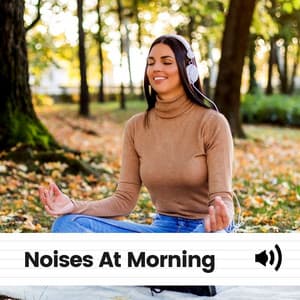Noises At Morning - White Noise Radiance