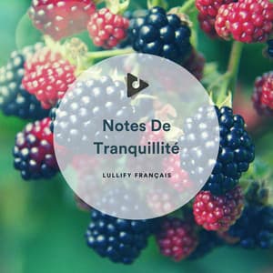 Notes De Tranquillité - Lullify Français