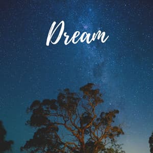 Dream - The Rain Library