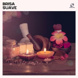 Brisa Suave - Academia de Música de la Música Ambiente