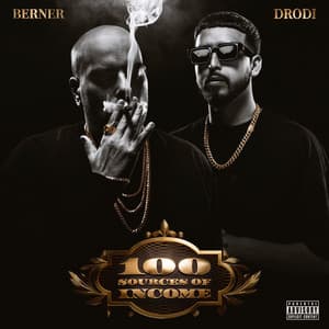 100 Sources of Income - Berner