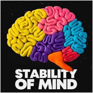 Stability of Mind - White Noise