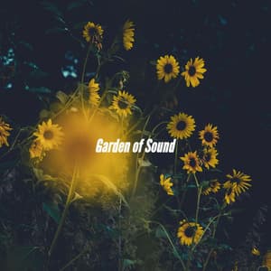 Garden of Sound - Coffee Shop Lounge