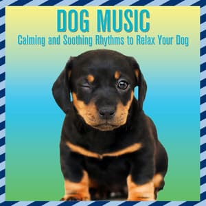 Dog Music: Calming and Soothing Rhythms to Relax Your Dog - Dog Music