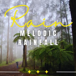 Enchanting Rainscapes - Mind of Peace