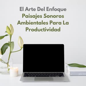 El Arte Del Enfoque: Paisajes Sonoros Ambientales Para La Productividad - Ruidos ambientales forestales