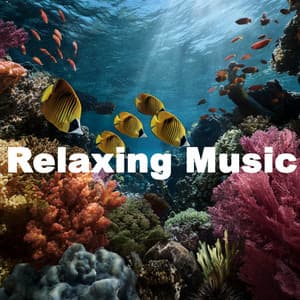 ! ! ! ! Relaxing Music for Peaceful Relaxation - Música Relajante