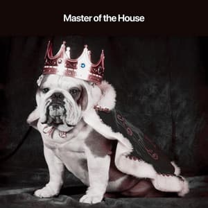 Master of the House - Dog Sleep Academy