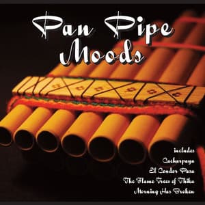 Pan Pipe Moods - RR