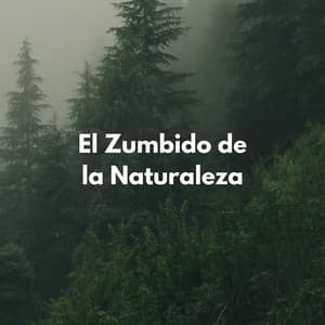 El Zumbido De La Naturaleza - Sonidos de la naturaleza con música