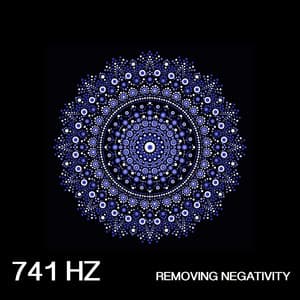 741 Hz Removing Negativity - Sound Traveller