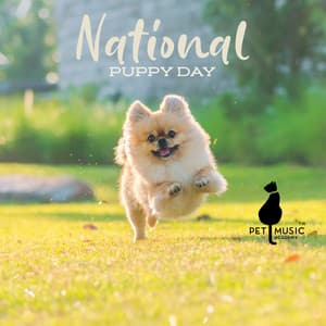 National Puppy Day - Pet Music Academy