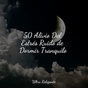 50 Alivio Del Estrés Ruido de Dormir Tranquilo - Meditação Zen
