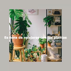 Es hora de relajarse con las plantas - Jazz Classics