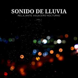 Sonido De Lluvia: Relajante Aguacero Nocturno Vol. 1 - Naturaleza nativa americana