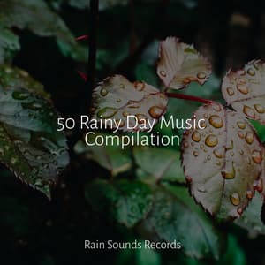 50 Rainy Day Music Compilation - Canciones de Cuna para Bebés Acadèmico