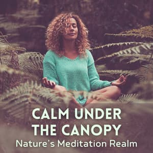 Calm Under the Canopy: Nature's Meditation Realm - Early Spring