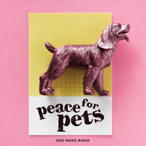 Peace for Pets - Dog Music Radio