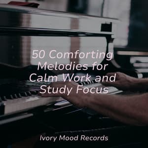50 Comforting Melodies for Calm Work and Study Focus - Ivory Mood