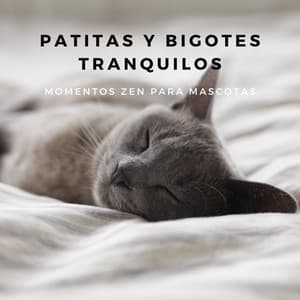 Patitas Y Bigotes Tranquilos: Momentos Zen Para Mascotas - LM Sour
