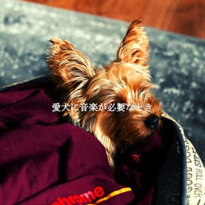愛犬に音楽が必要なとき - Work from Home Groove