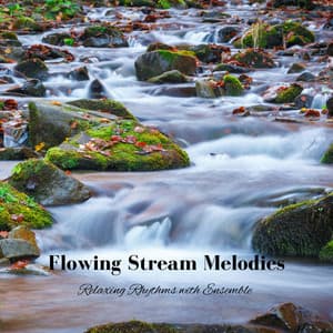 Flowing Stream Melodies: Relaxing Rhythms with Ensemble - Kara Lord