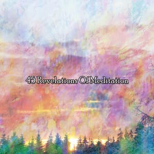 45 Revelations Of Meditation - Relaxing Meditation Songs Divine