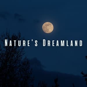 Nature's Dreamland: Chill Sounds for Baby's Serene Rest - Nature Calm