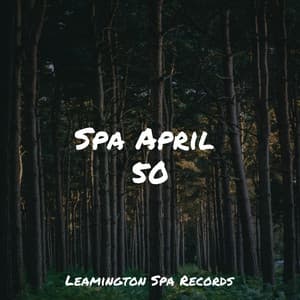 Spa April 50 - Pink Noise
