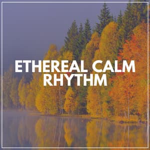 Ethereal Calm Rhythm - Wildlife Sound Recordings