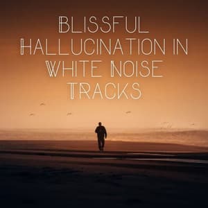 Blissful Hallucination in White Noise Tracks - Natural White Noise Relaxation