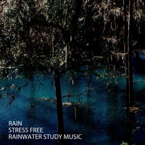 Rain: Stress Free Rainwater Study Music - Water Sound Natural White Noise