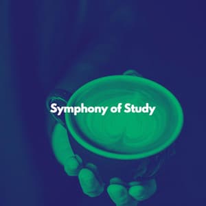 Symphony of Study - Descansar Musica