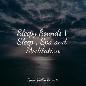 Sleepy Sounds | Sleep | Spa and Meditation - Rain Hard