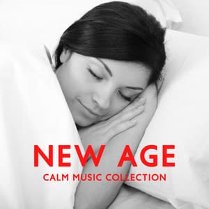 New Age Calm Music Collection: Insomnia Relief, Music for Study, Life Changing Meditation, Evening Yoga, Favorable Relaxation - Less Stress Music Academy