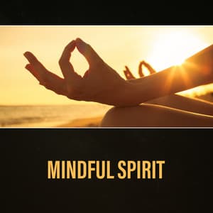 Mindful Spirit – Best New Age, Perfect Relaxation, Healing Energy - Body Harmony Music Consort