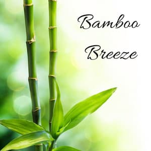 Bamboo Breeze - Sound Sleeping