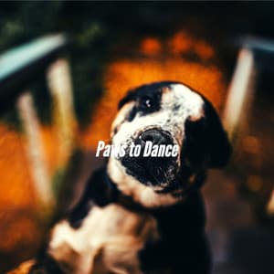 Paws to Dance - Cute Doggy Music