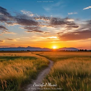 Peaceful Music for Sleeping, Relaxing, Meditation, Tinnitus Relief 2 - Lernmusik