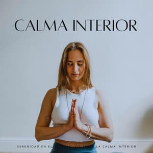 Serenidad En El Estudio: Cultivar La Calma Interior - Serenidad Academy
