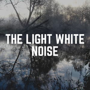 The Light White Noise - White Noise Spa