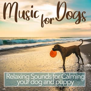 Music for Dogs - Relaxing Sounds for Calming Your Dog and Puppy - Relax My Dog Music