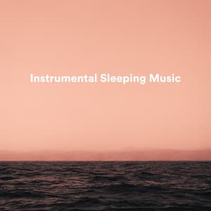 Instrumental Sleeping Music - Instrumental Sleeping Music